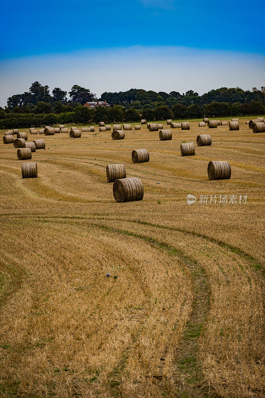 农业田顶天景观