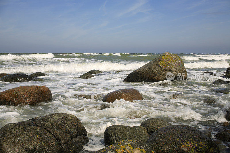 野生海