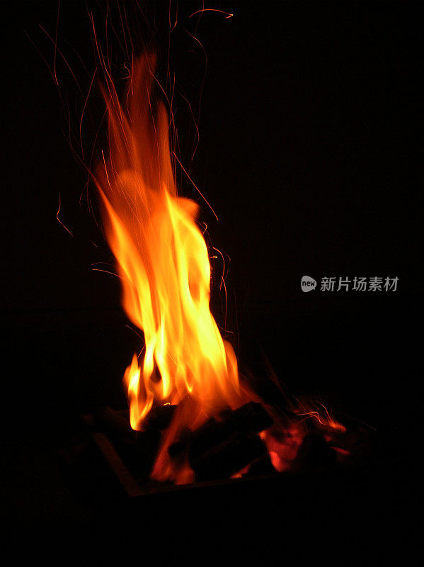 花着火了