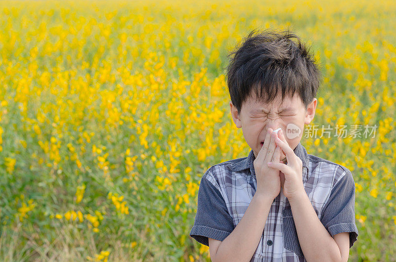男孩对花粉过敏