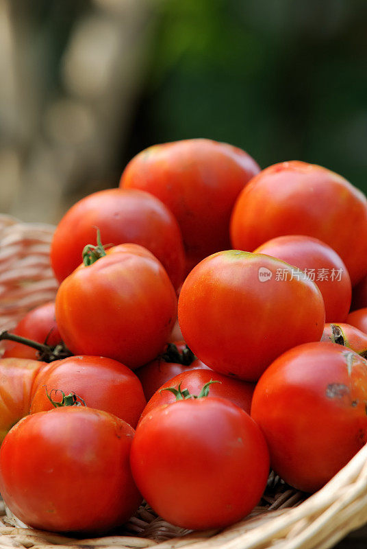 新鲜tomatos