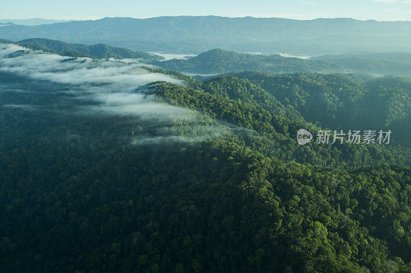 鸟瞰热带雨林和海滩，哥斯达黎加