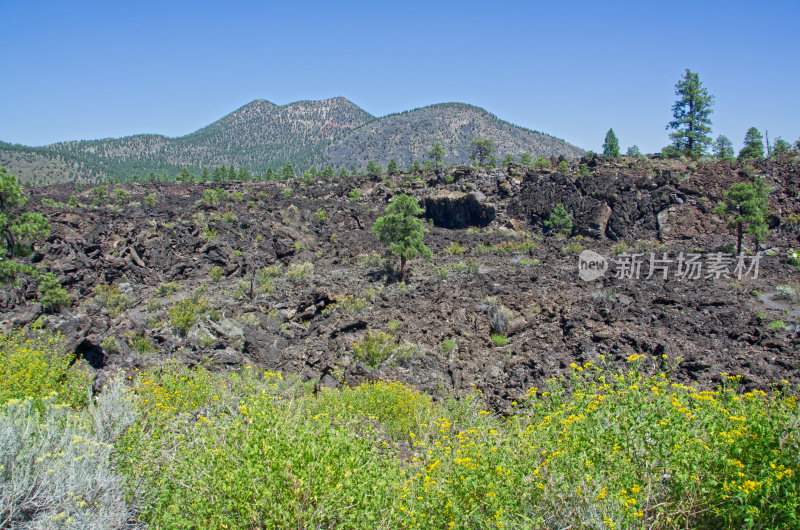 在日落火山口火山国家纪念碑熔岩流动