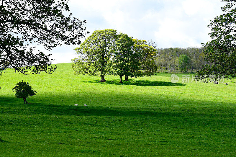 英国的风景