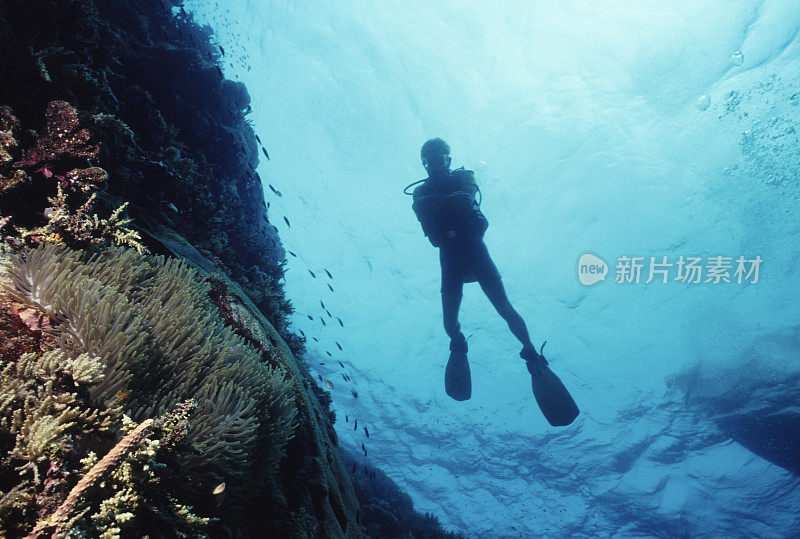 在蓝水里漂浮的人