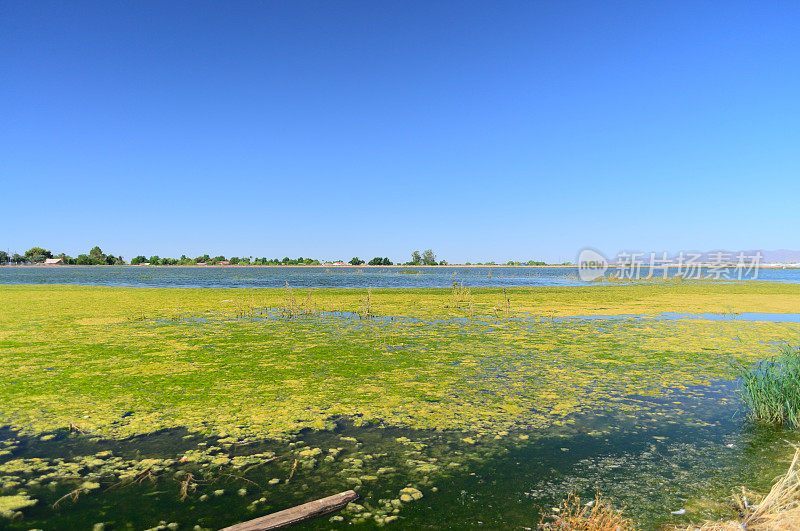 亚利桑那州格兰岱尔废水处理池