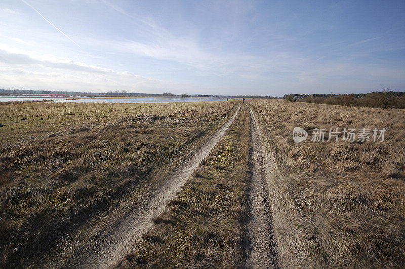 勃兰登堡典型景观中的小路