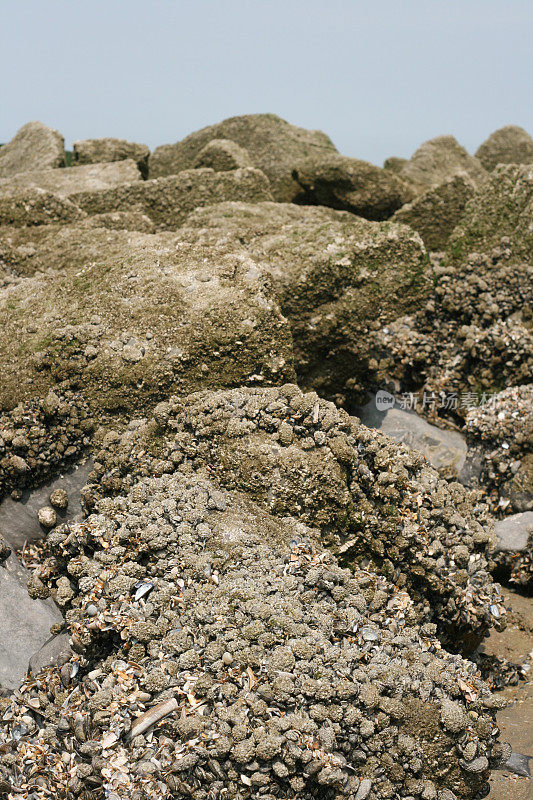 比利时纽波特海边的岩石