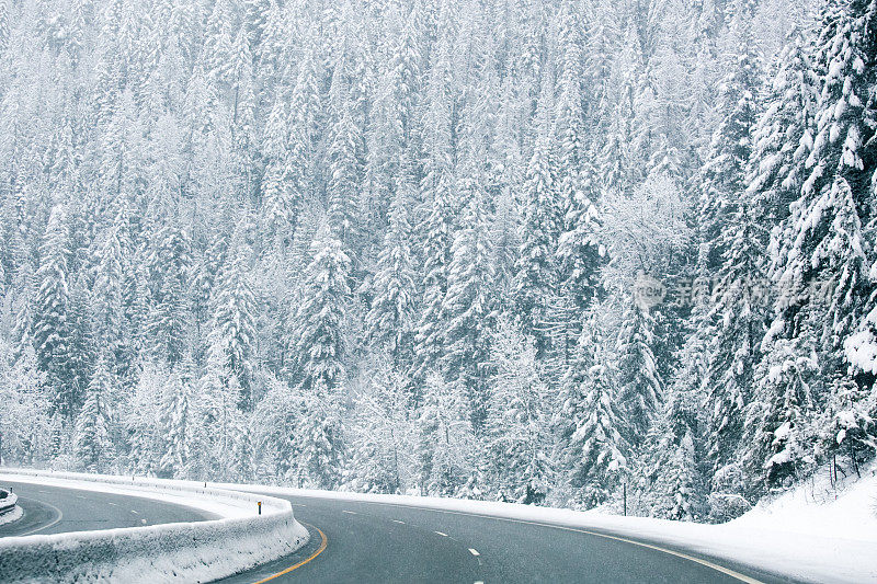 蒙大拿落基山脉雪林冬季旅行高速公路