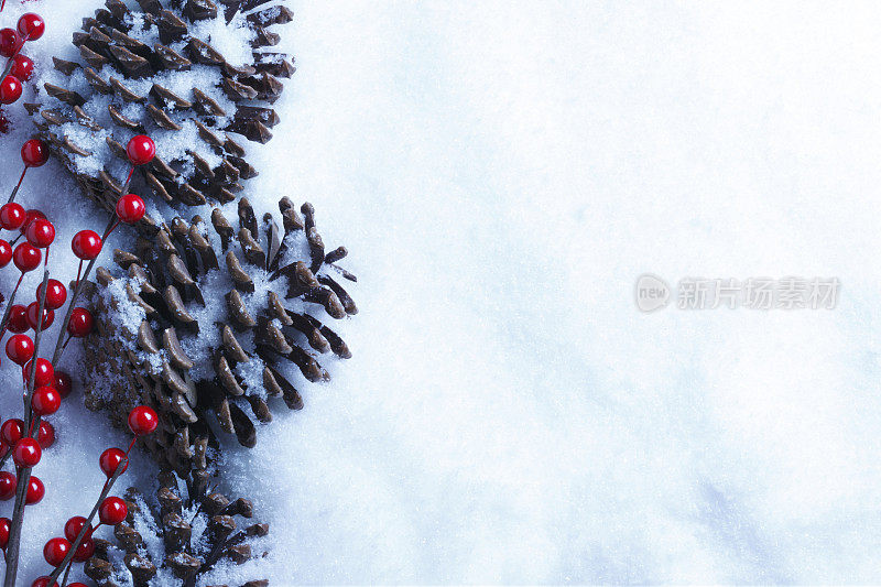 雪上的松果和冬青浆果