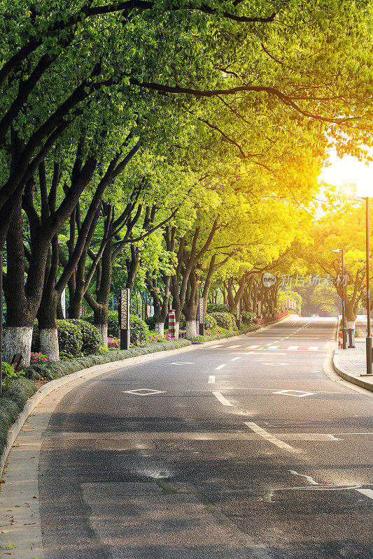 通往中国远郊的弯弯曲曲的道路