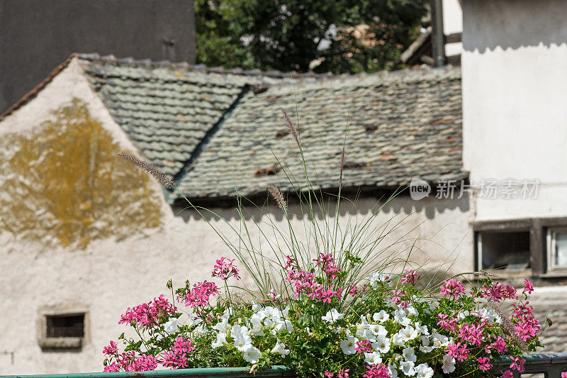 斯特拉斯堡-法国小区的鲜花