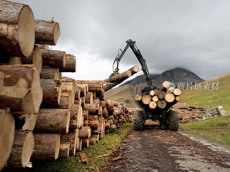 在瑞士山区，起重机正在装载树干
