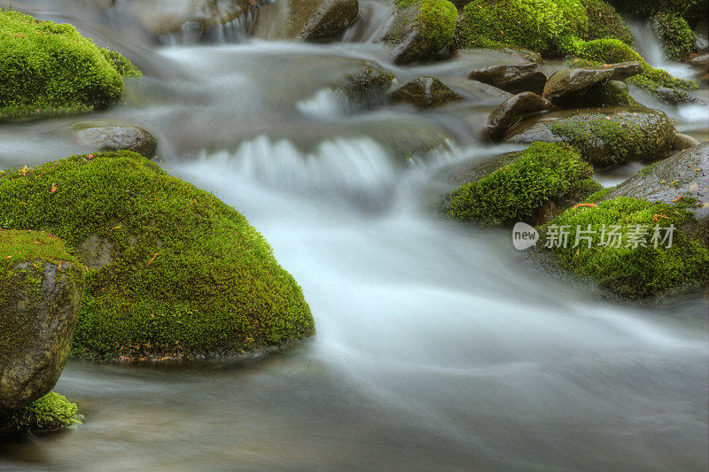 苔藓岩石和小溪