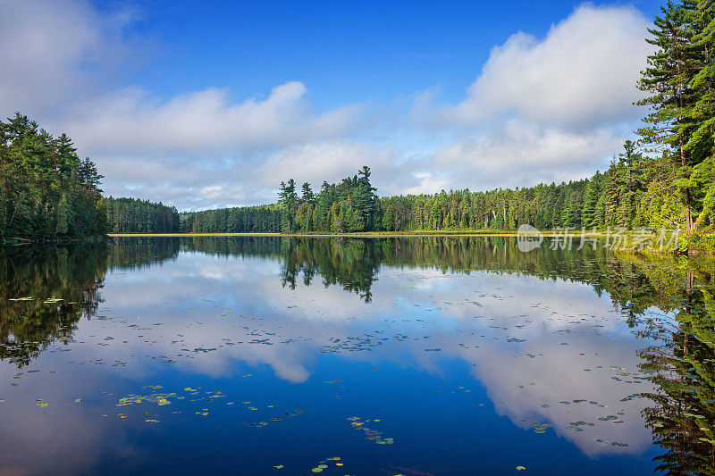 加拿大安大略省阿尔冈昆省公园的湖泊景观