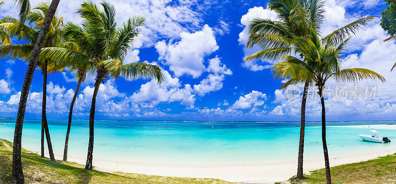 田园般的热带景色，棕榈树和绿松石般的大海。毛里求斯岛