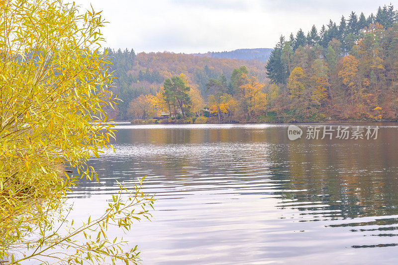 从艾菲尔的森林与秋天的颜色看乡间景色
