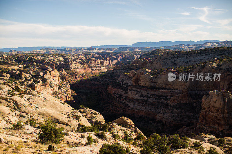 犹他州南部的迪克西国家森林