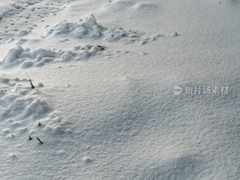 地上有雪