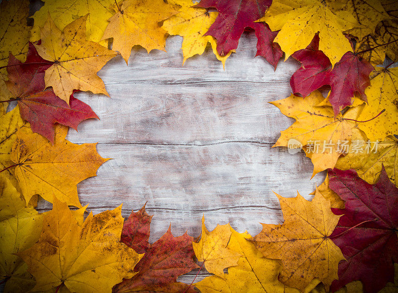 旧木背景上的彩色秋叶。渐晕的效果