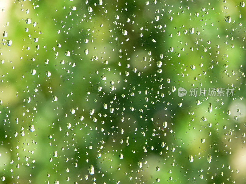 在绿树的背景下，雨滴落在水面上
