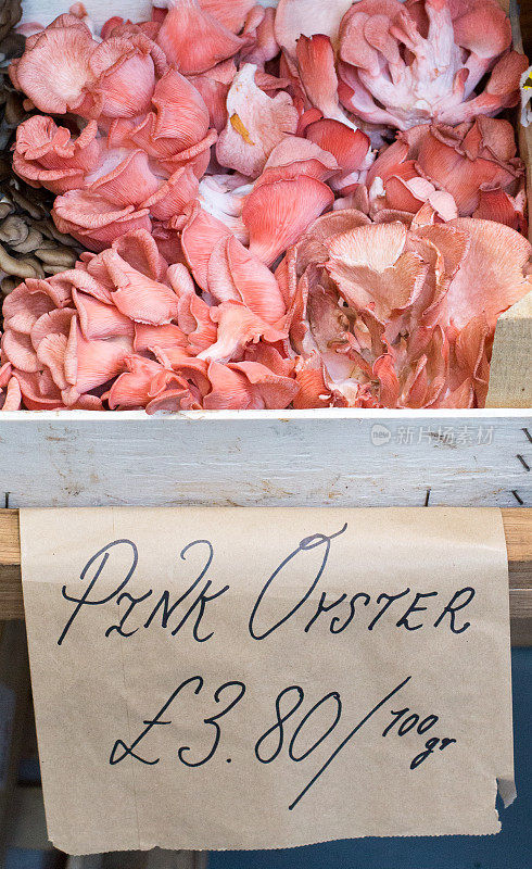 伦敦博罗市场的粉色牡蛎蘑菇
