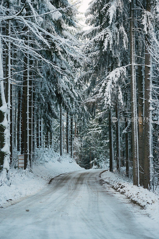 森林里的雪路