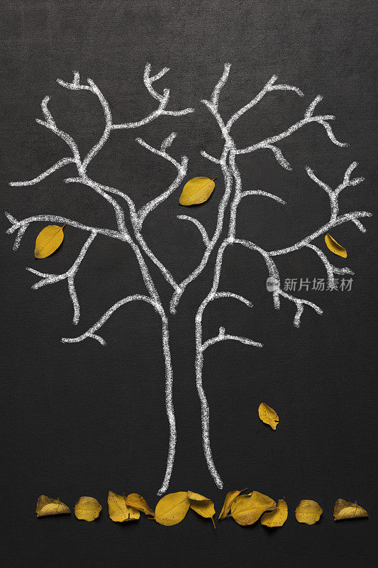 黄叶飘落的树
