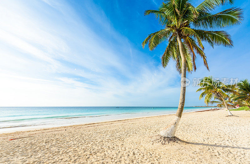 天堂海滩也叫普拉亚帕莱索日出-美丽的热带加勒比海岸图卢姆在金塔纳罗奥，玛雅里维埃拉，墨西哥