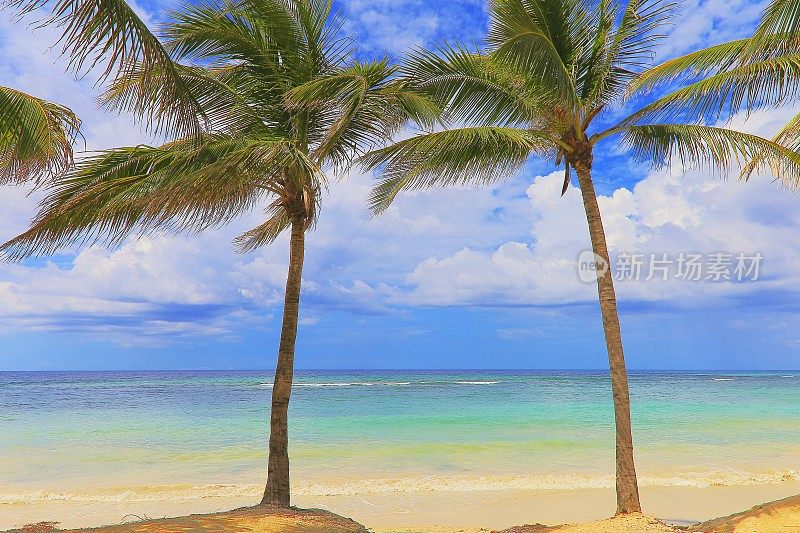 带有热带棕榈树的田园诗般的海滩-蒙特哥湾-牙买加，加勒比海