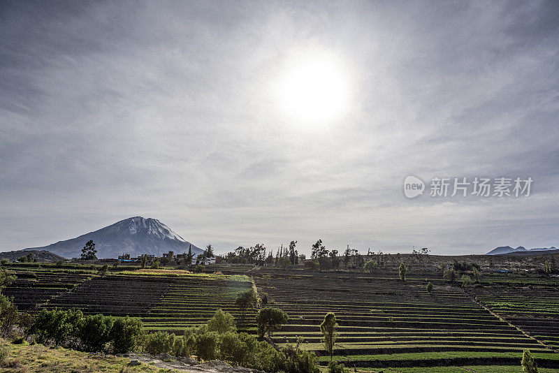 米的火山