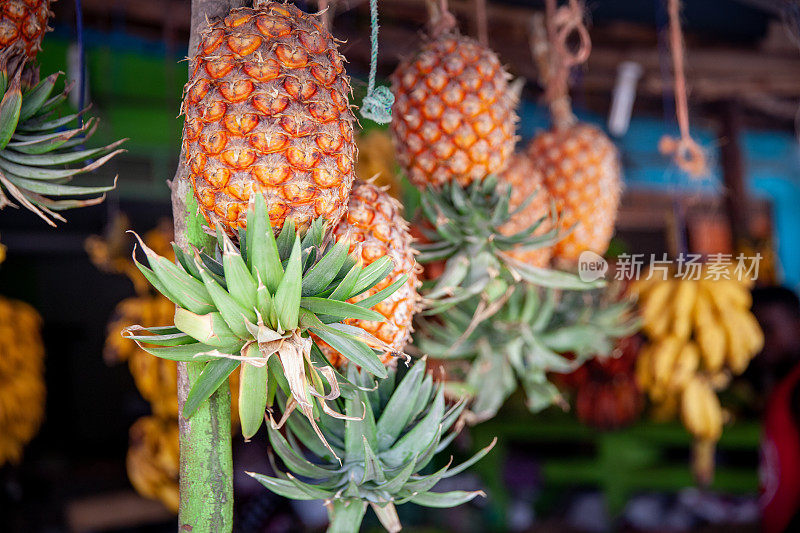 非洲当地农贸市场的菠萝水果