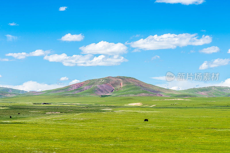 那曲羌塘高原牧场风光，中国西藏