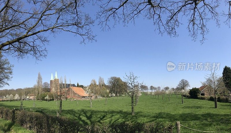 全景春天的风景