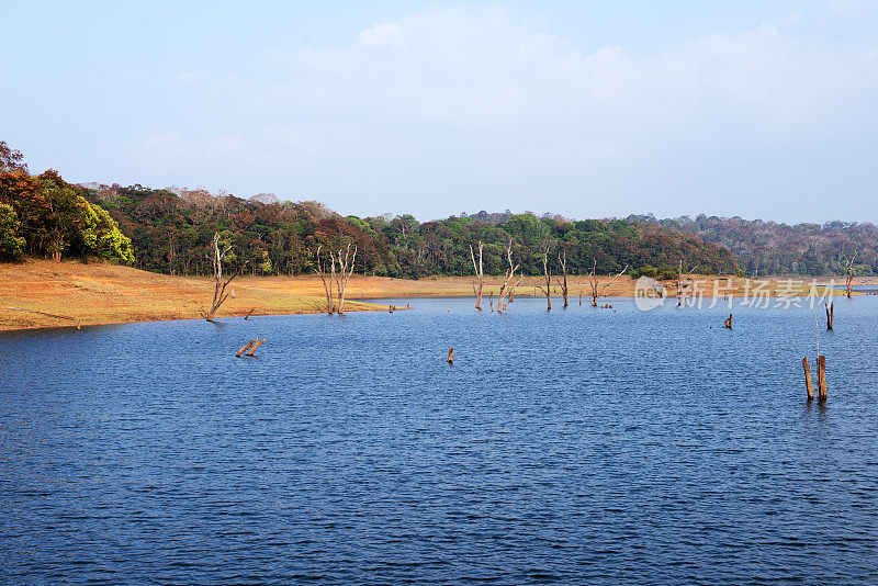 印度喀拉拉邦Thekkady的Periyar湖