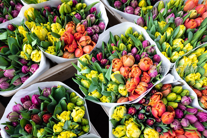阿姆斯特丹花卉市场出售的一束郁金香花
