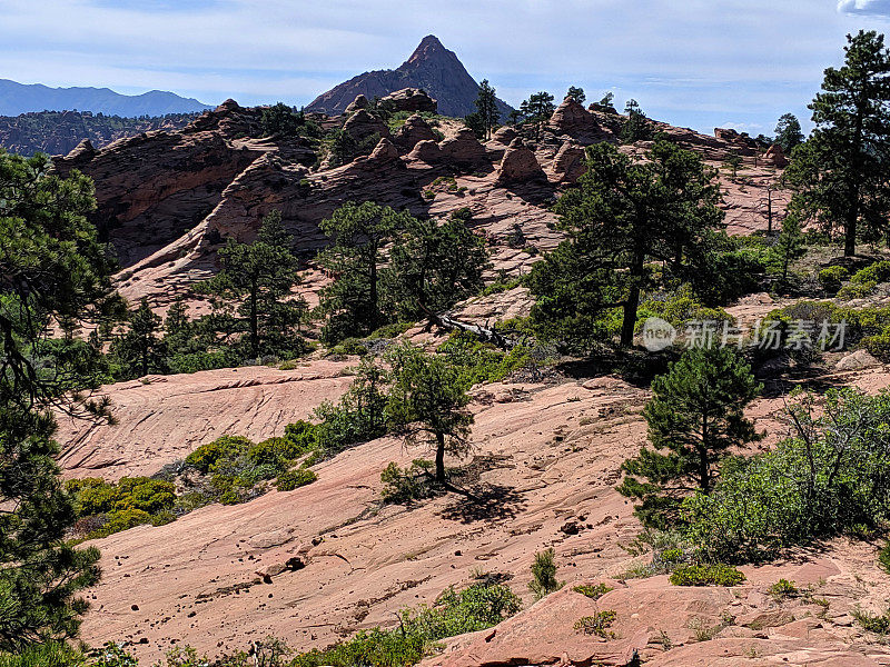 砂岩和hoodoo俯瞰科洛布峡谷和Hop山谷在锡安国家公园犹他州