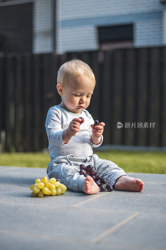 可爱的白人男婴在后院检查一串串的葡萄