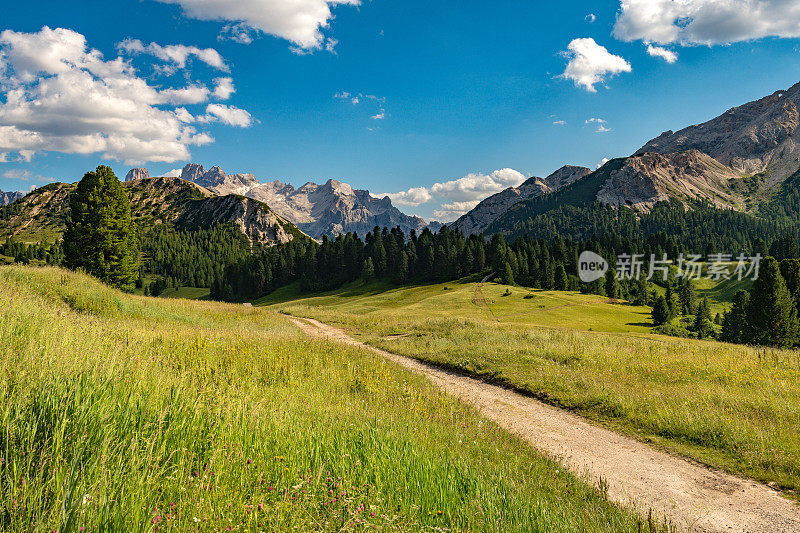 普拉托广场，拉瓦雷多国家公园，白云石，欧洲阿尔卑斯山，意大利，欧洲