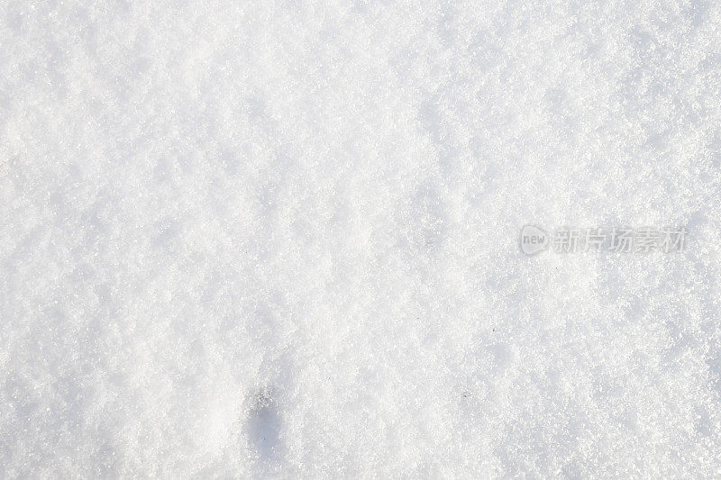 新鲜的雪