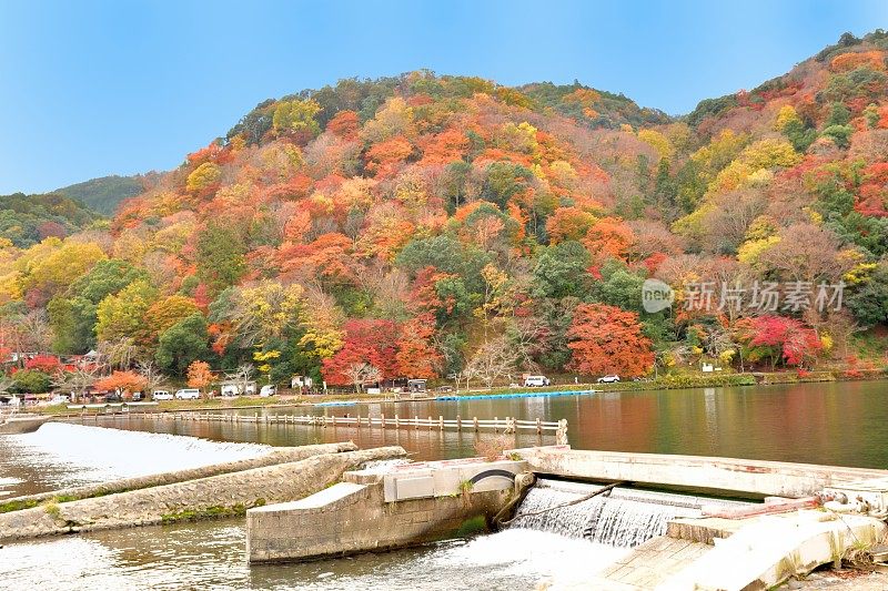 日本京都岚山地区秋叶颜色