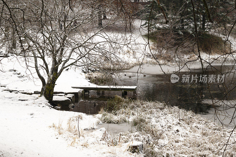 12月公园里的冬季景观有雪和结冰的湖