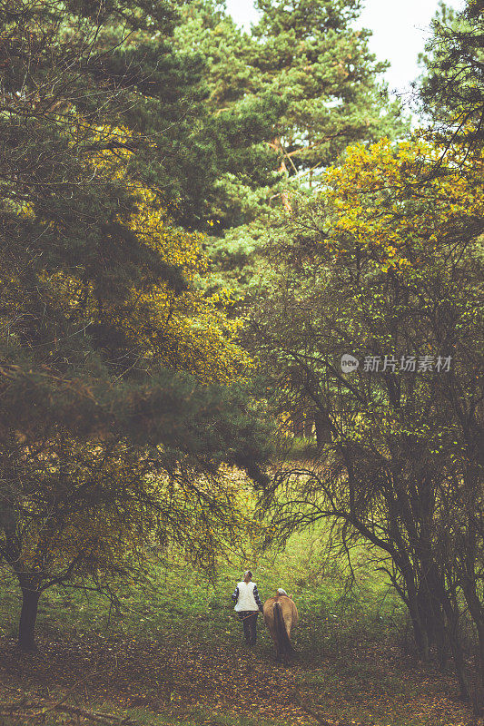 一个凉爽的秋日，一个年轻女子牵着她的马在树林里散步