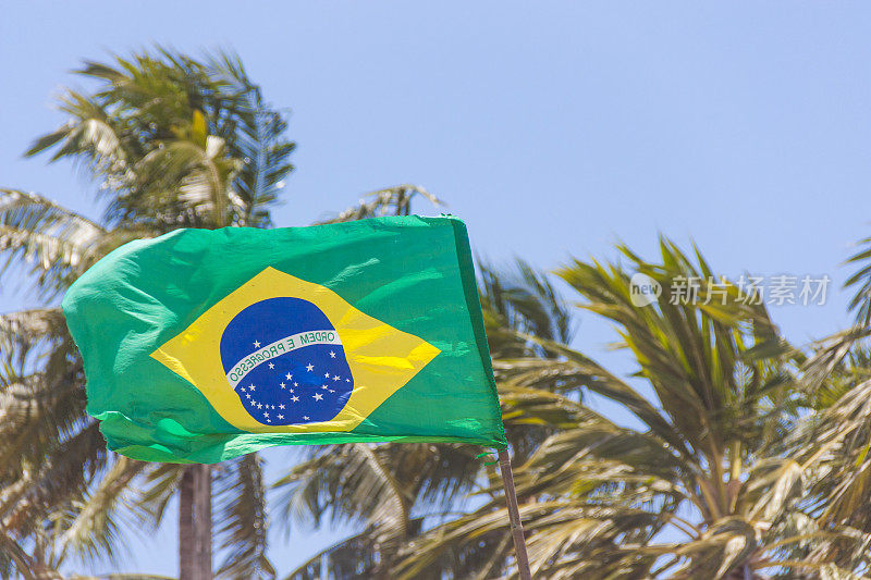 在巴西里约热内卢的科帕卡巴纳挥舞着国旗