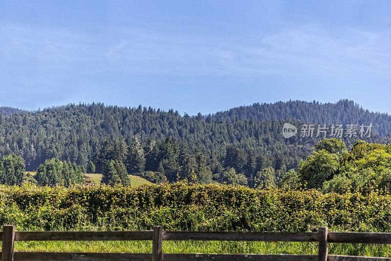 美丽的乡村风景在洪堡县，加州红木森林，蓝天，分隔栏杆栅栏。没有人。副本的空间。