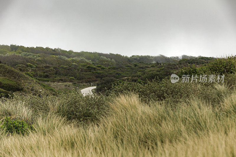 穿过海牙附近荷兰海岸沙丘的小路