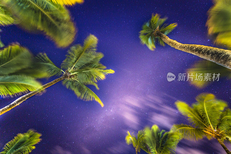 巴西巴伊亚的夜空上的银河和棕榈树-星星景观