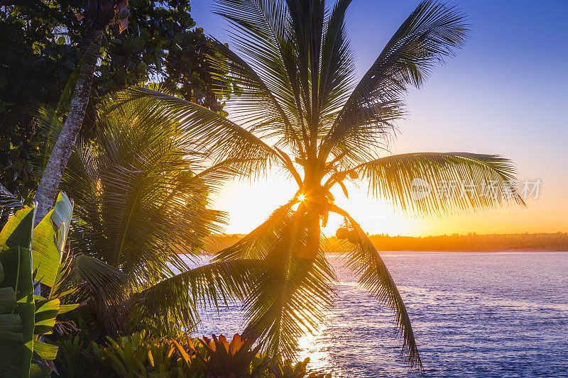 在巴西东北部巴伊亚的海滩和棕榈树上，戏剧性的天空——塞古罗港的日落
