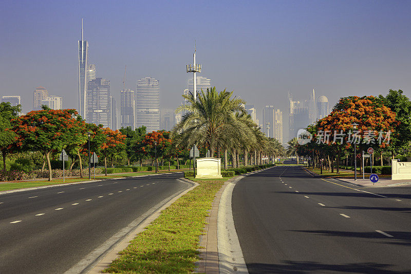 迪拜，阿拉伯联合酋长国-典型的维护良好，风景优美的路边环境与枣椰树，草地区域和现代阿拉伯城市的花圃