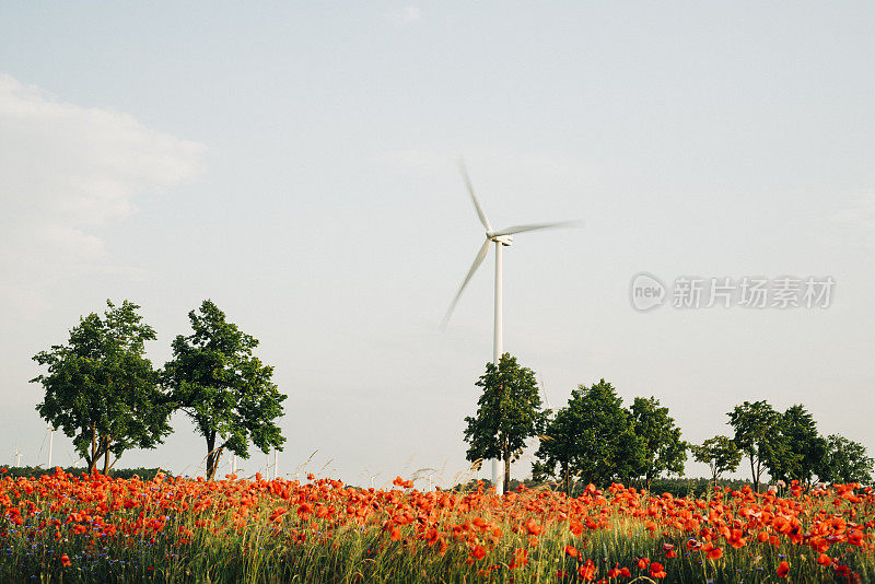 乡村景观有农田，风力发电机和红罂粟